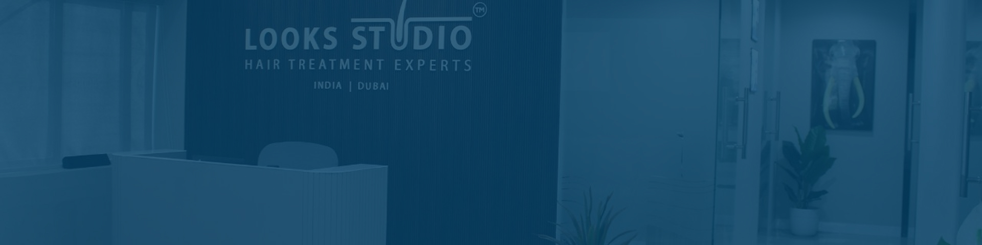 About us